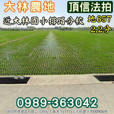 法拍嘉義大林排路里農地近大林交流道22分黃金