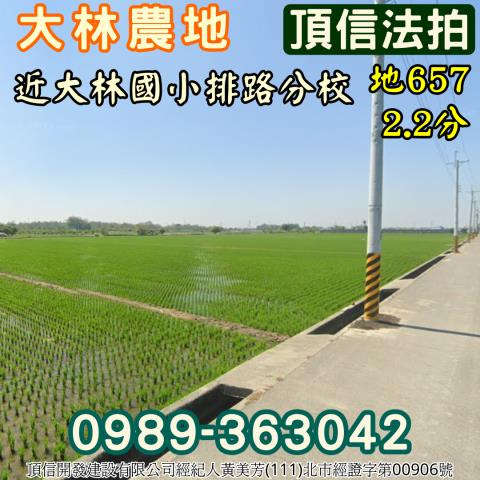 嘉義大林拍賣農地-2