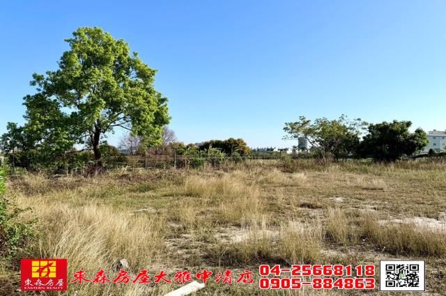 台中西屯農地-1