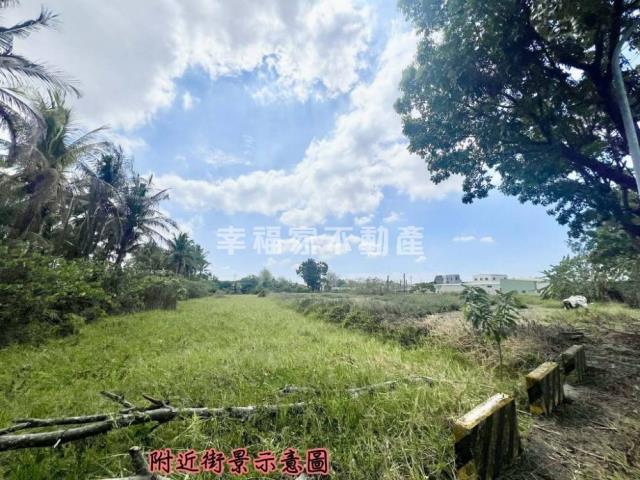 歸仁農地-5