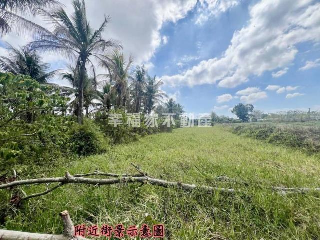 歸仁農地-6