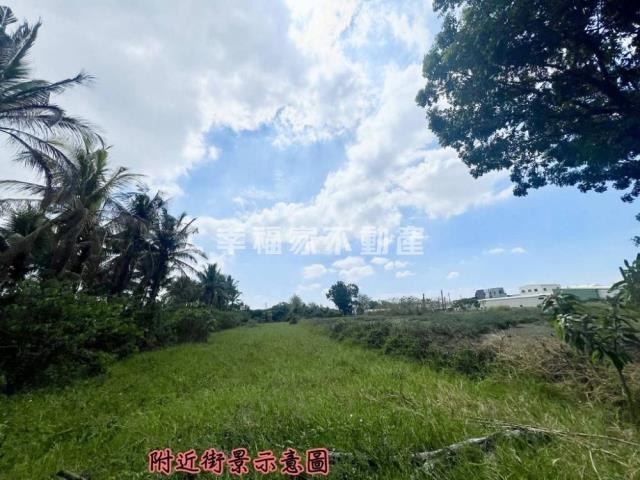 歸仁農地-7