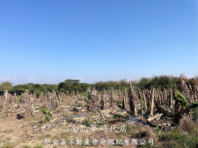 台南農地-3