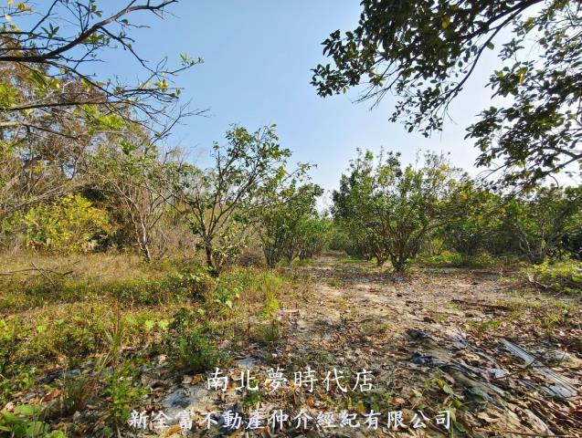 台南左鎮農地-5