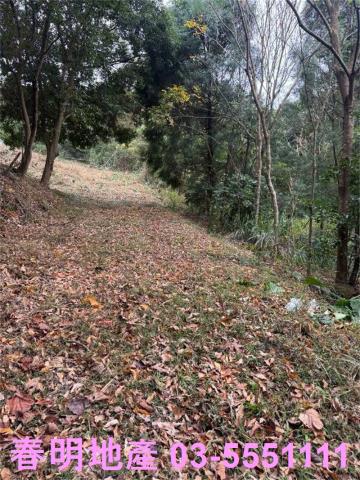 新竹芎林農地-9