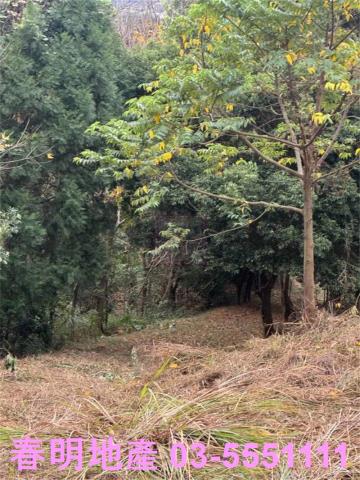 新竹芎林農地-2