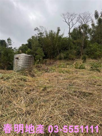 新竹芎林農地-3