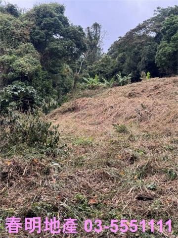 新竹芎林農地-4