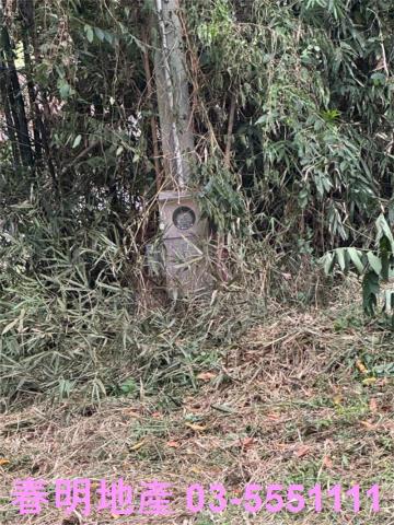 新竹芎林農地-5