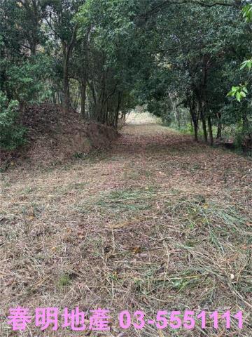 新竹芎林農地-6