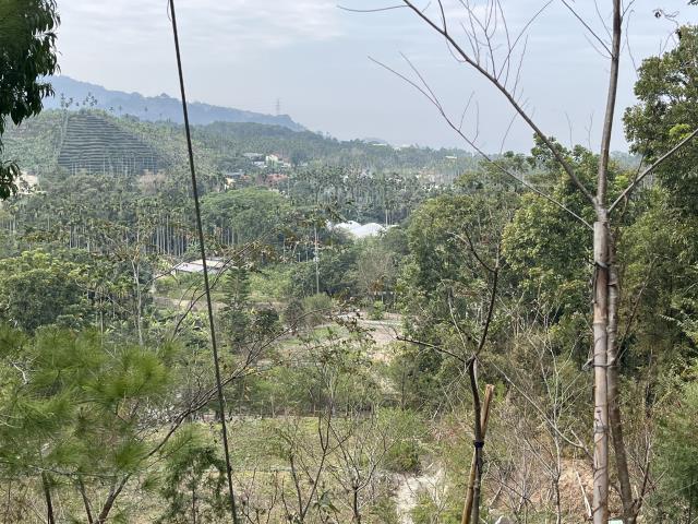 南投鹿谷農地-10