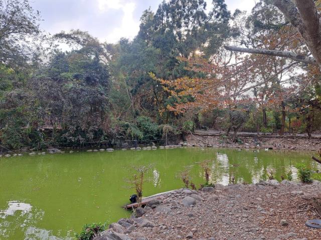 南投竹山農地-6