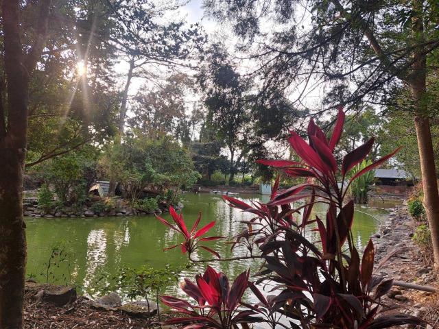 南投竹山農地-7