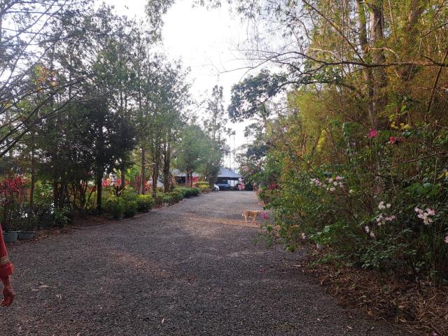 南投竹山農地-8