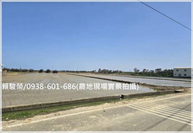 桃園觀音保興路農地售