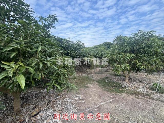 楠西農地-9