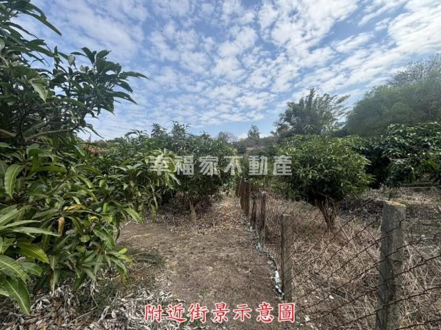 楠西農地-10