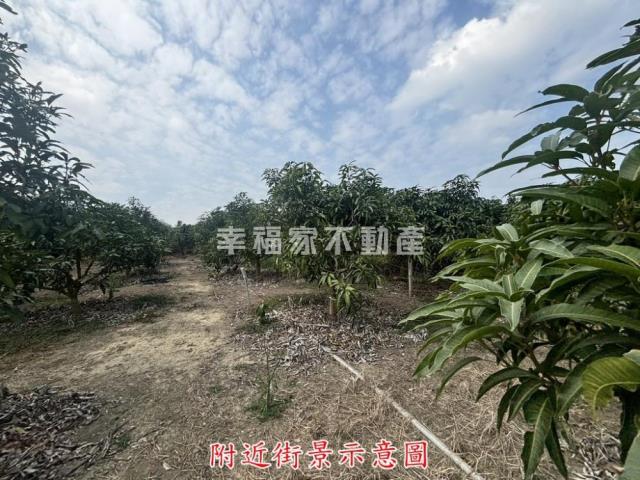 楠西農地-11