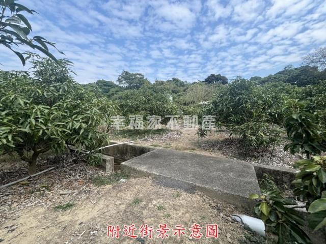 楠西農地-12
