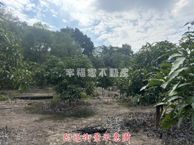 楠西農地-13