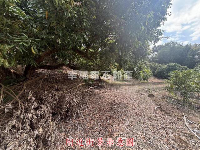 楠西農地-1