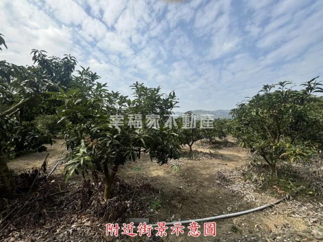楠西農地-2