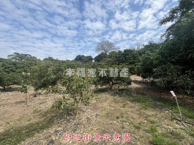 楠西農地-4