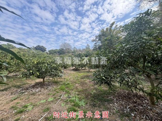 楠西農地-5