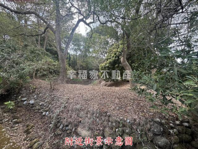 楠西農地-6