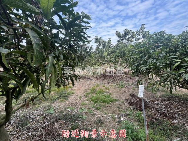 楠西農地-7