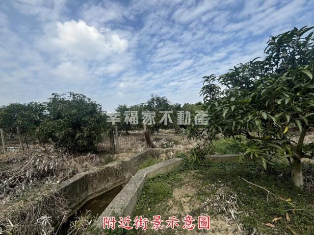 楠西農地-8