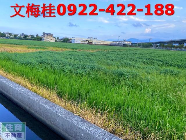 宜蘭羅東農地-0