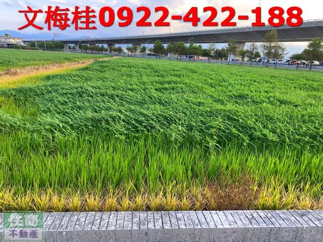 宜蘭羅東農地-2