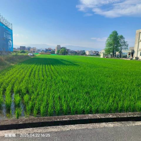宜蘭農地-1