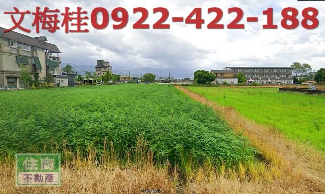 宜蘭三星農地-1