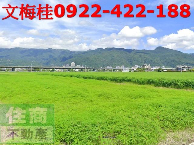 宜蘭礁溪農地-2