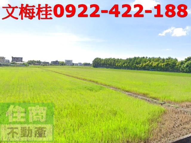 宜蘭礁溪農地-1