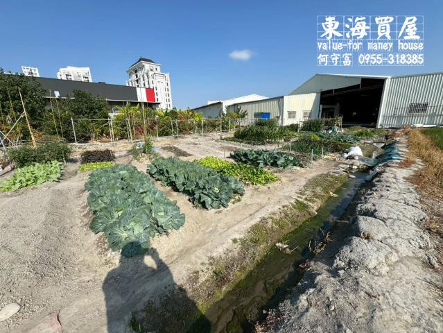 台中西屯農地-3