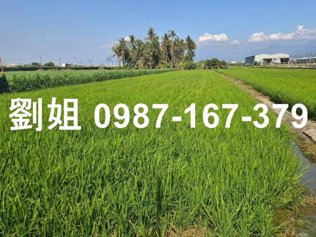 屏東市農地88快速道路土地低總價農地