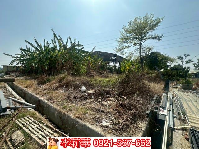 柳營建地-2