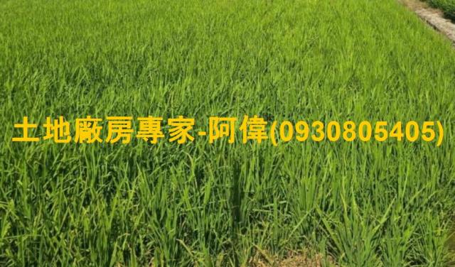 屏東市農地-0