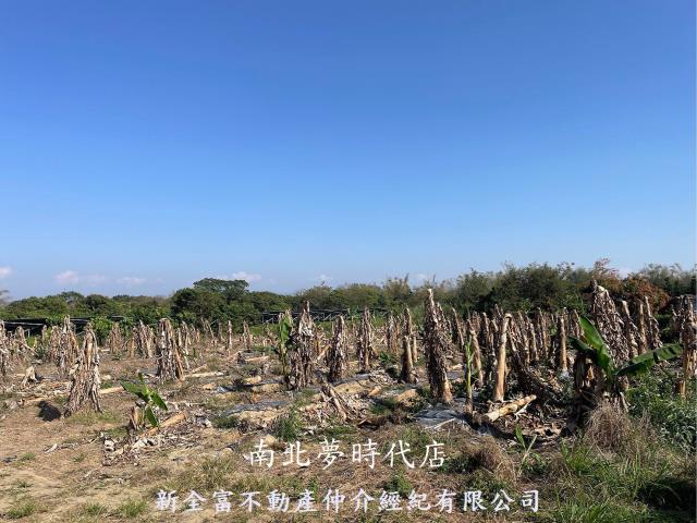台南農地-1