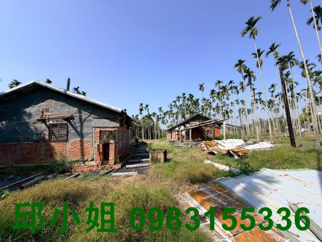 嘉義買房賣房房地合一稅建地農地