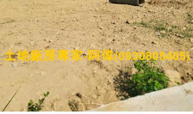 大社區工業地加農地458坪出售