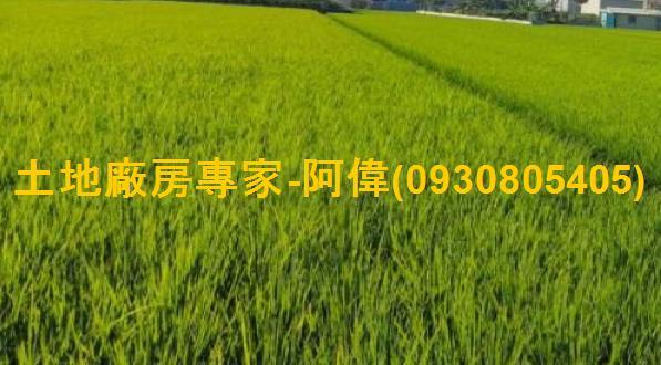 高雄鳥松農地-0