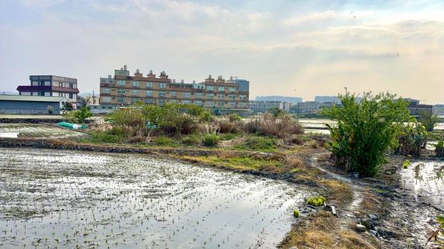 新竹芎林農地-11