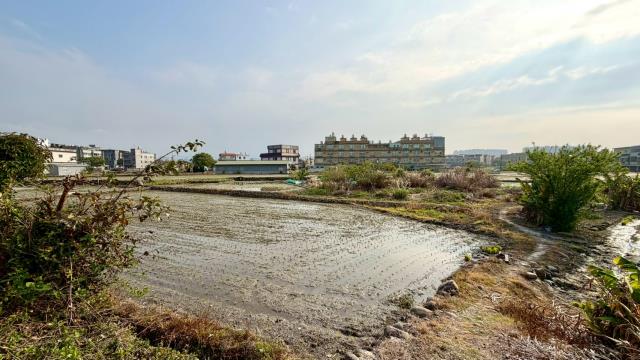 新竹芎林農地-13