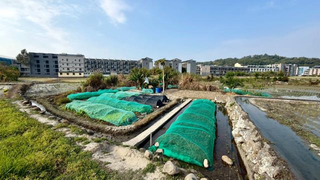 新竹縣芎林鄉農地農舍休閒地