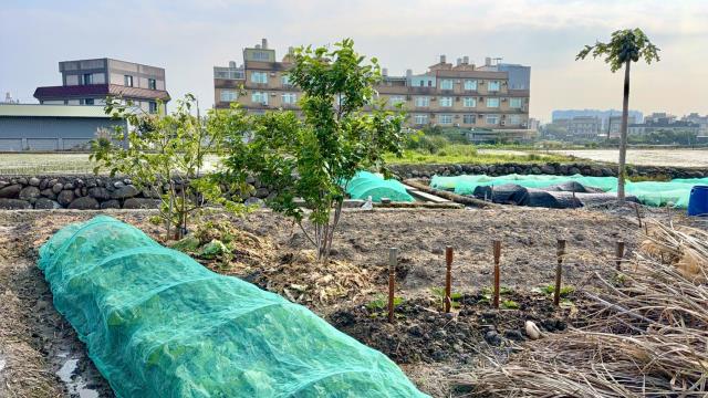 新竹芎林農地-8