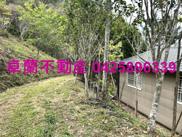 苗栗卓蘭農地-3